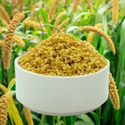 Foxtail Millet Flakes - 1lb Foxtail Millet Flakes - 1lb